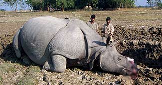 प्रतीकात्मक तस्वीर