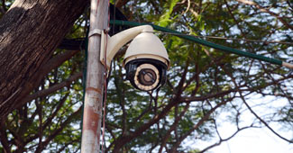 प्रतीकात्मक तस्वीर