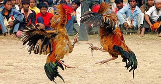 प्रतीकात्मक तस्वीर