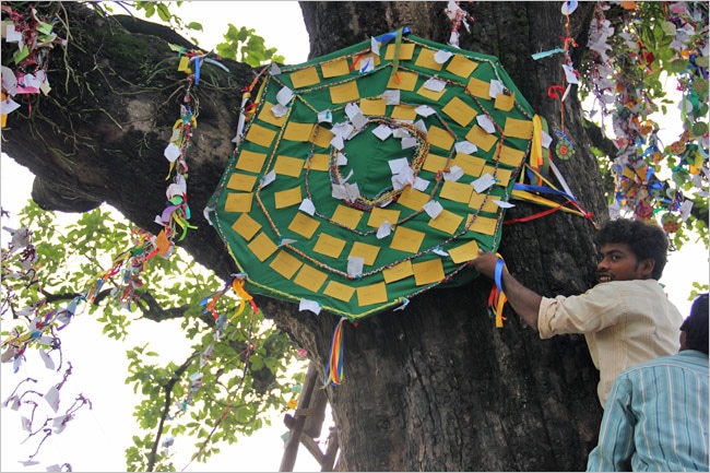 Rakhi tied to tree