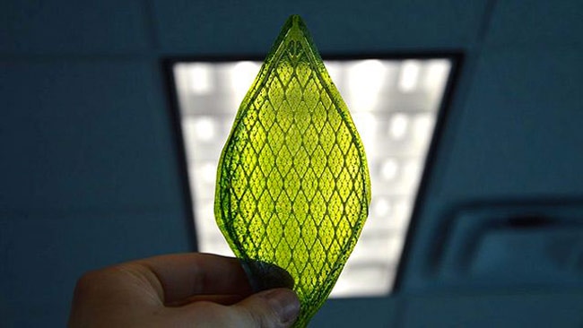 Man- Made Leaf