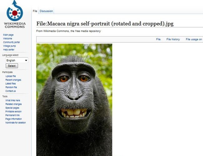 विकिपीडिया पर पोस्‍ट की गई इसी सेल्‍फी पर था विवाद