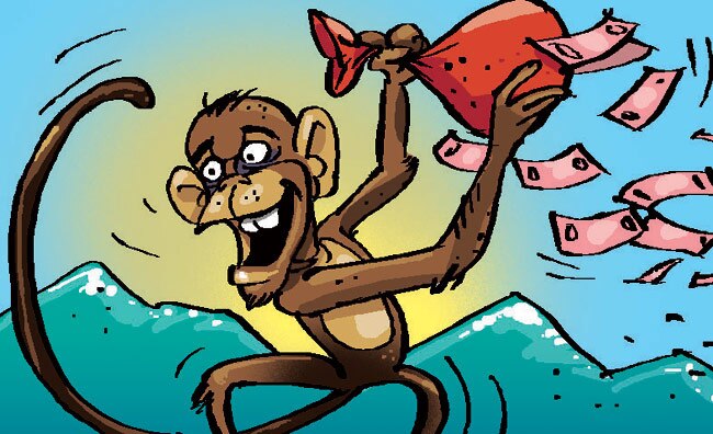 monkey rains currency notes in Shimla