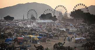 पुष्कर मेले का एक दृश्य