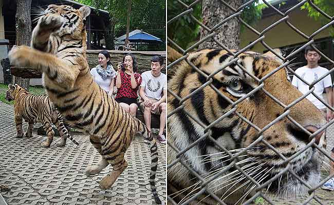 प्रतीकात्मक तस्वीर