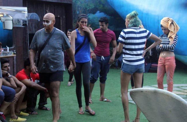 बिग बॉस 8 की फाइल फोटो