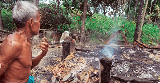 फाइल फोटो