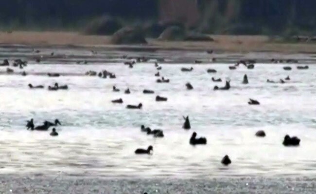 सुल्तानपुर बर्ड सैंक्चुरी