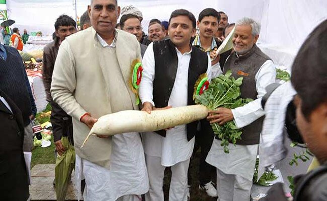 यूपी सरकार ने बजट में किसानों को रिझाने की पूरी कोशिश की है