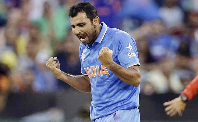 मोहम्मद शमी टूर्नामेंट में दूसरे सबसे ज्यादा विकेट लेने वाले भारतीय क्रिकेटर रहे