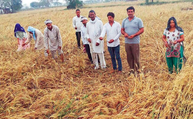 Farmers in Uttar Pradesh