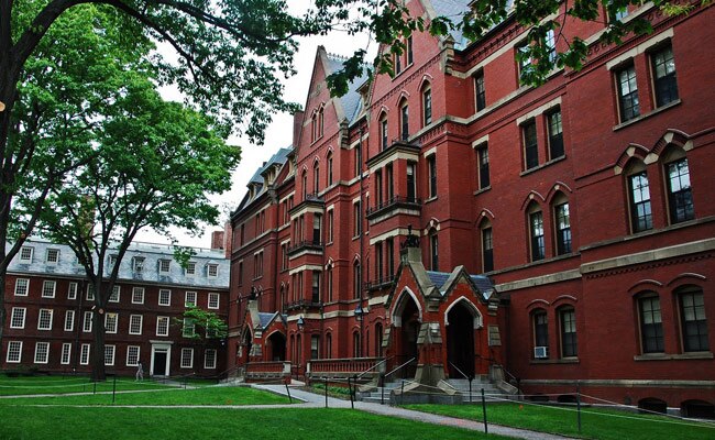 Harvard university