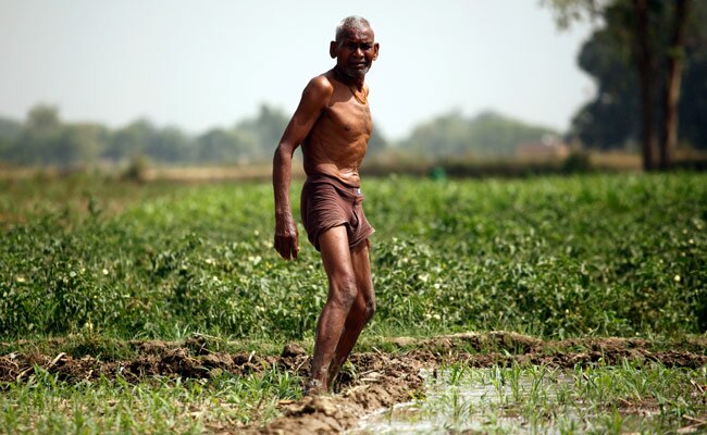 India Farmers