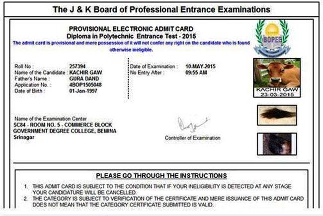 JK: गाय को जारी किया गया प्रवेश पत्र