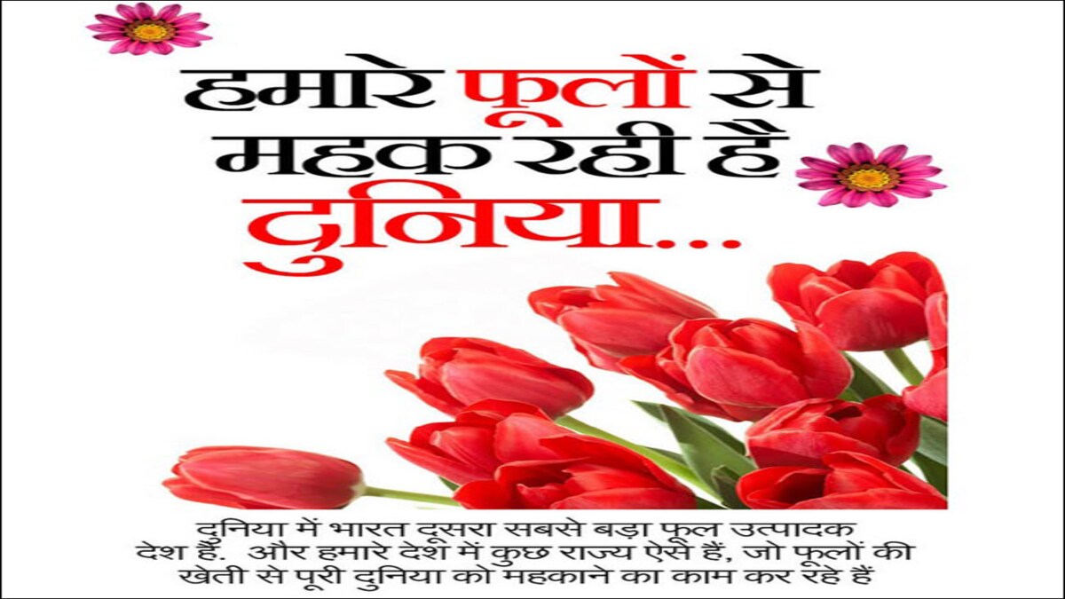 हम र फ ल स महक रह ह द न य Flower Trade In India jtak हम र फ ल स महक रह ह द न य Flower Trade In India jtak
