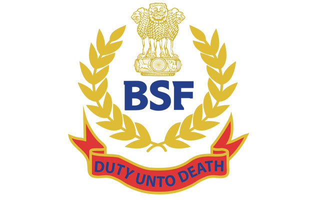 BSF LOGO