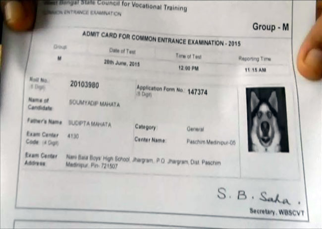 एडमिट कार्ड में कुत्ते की फोटो