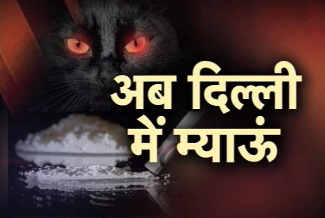 दिल्ली में दे रहा है दस्तक म्याऊं