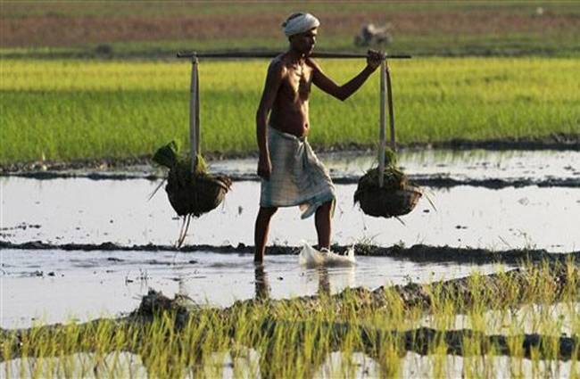 सूखे की स्थिति से निपटने के लिए राज्य सरकार हुई सख्‍त