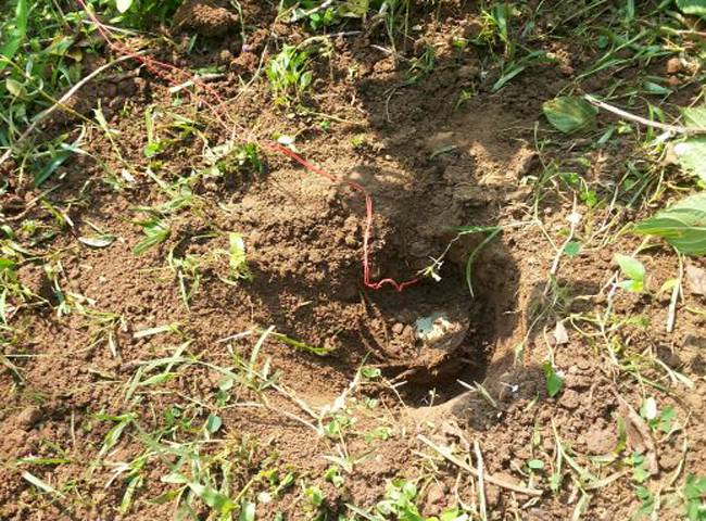 इमामगंज थाना क्षेत्र में बरामद किया गया विस्फोटक