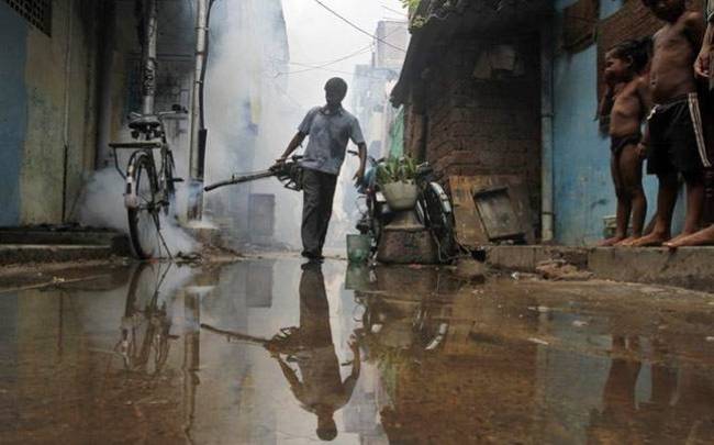 मच्छर मारने की दवा का छिड़काव करता एक व्यक्ति