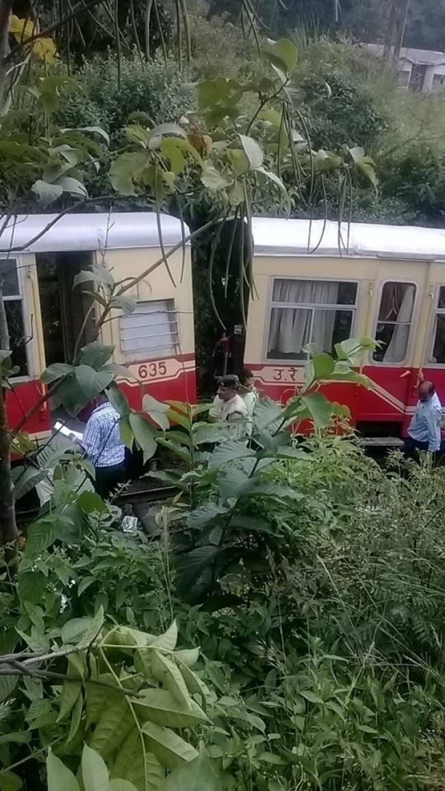 पटरी से उतरी टॉय ट्रेन