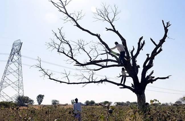 सूखे का संकट