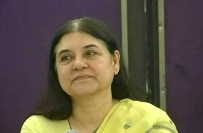 मेनका गांधी (फाइल फोटो)