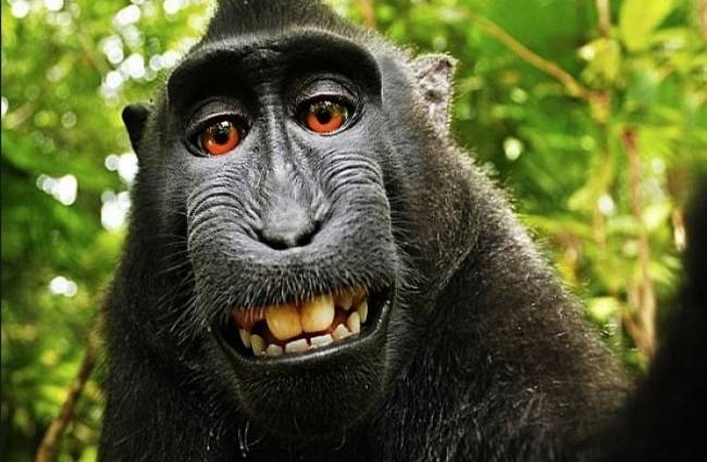 चार साल पहले 'नरूटो' ने खींची थी सेल्फी