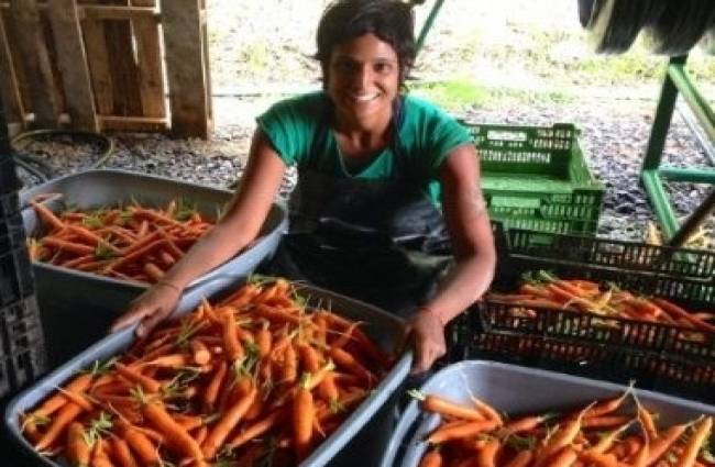 भारतीय मूल की अमेरिकी नागरिक अनिता अदाल्जा