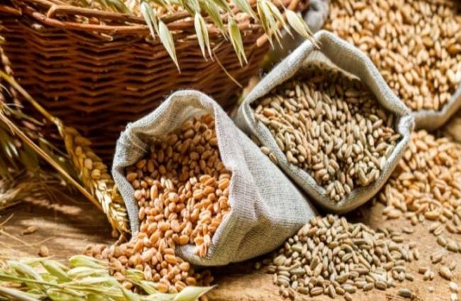 भारत को कृषि क्षेत्र को ज्यादा प्राथमिकता देनी चाहिए