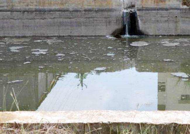 सुबह किसी राहगीर ने दोनों लाशों को पानी की हौज में देखा था (फाइल फोटो)