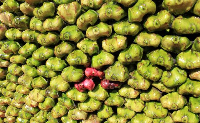 हमेशा सेहतमंद रहने के लिए सिंघाड़े को अपनी डाइट में शामिल करें https://www.chetanherbal.com/uploads/1169327_beets-beet-juice-1522792239.jpg