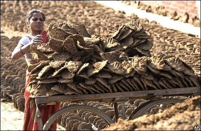 अब पूजा के लिए ऑनलाइन खरीदें गोबर के उपले