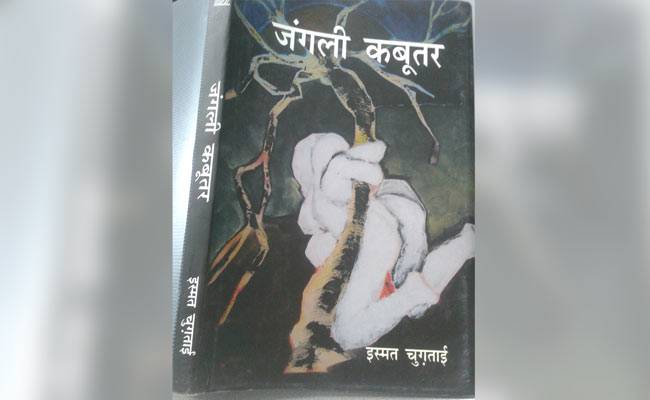 junglee kabootar book cover