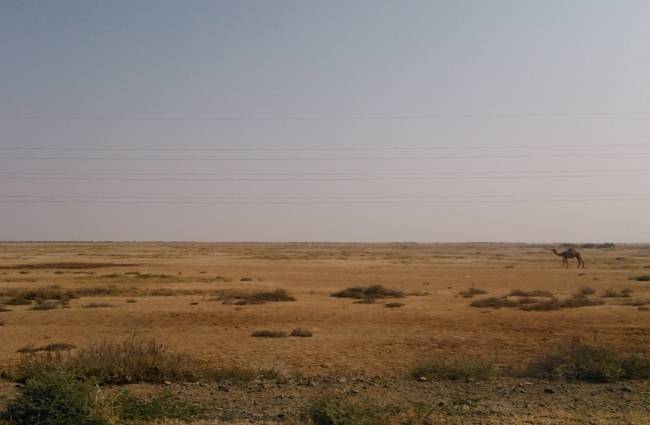 एक ऊंट और तीन लोगों के कदमों के निशान मिले