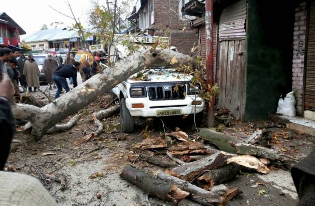 श्रीनगर में कई जगह पेड़ भी गिर गए