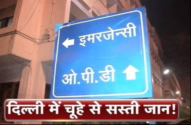 चूहा छोड़ने को लेकर हुआ विवाद