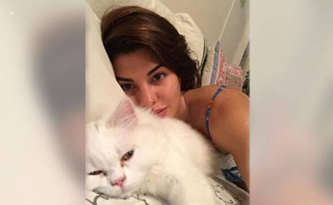 जैकलिन फर्नांडीज