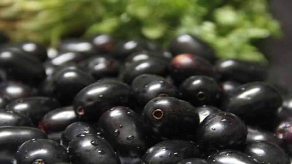 सेहत का खजाना छुपा है इस देसी फल में!! जानिए गर्मियों में काले जामुन खाने के फायदे