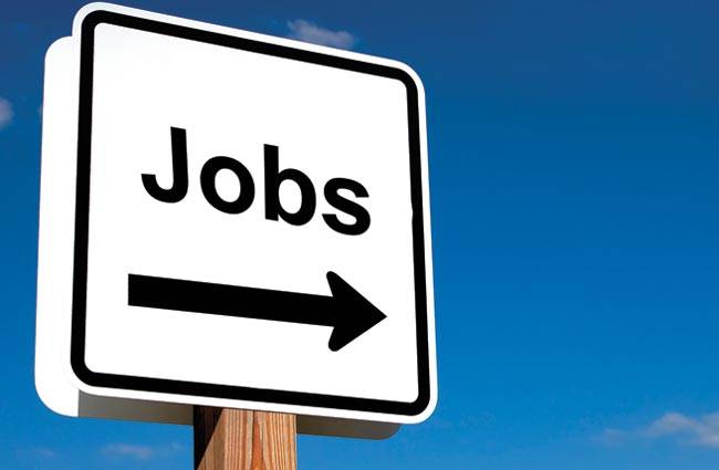 Govt jobs