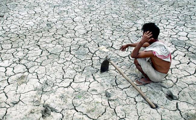 किसान यहां लगातार आत्महत्या कर रहे हैं