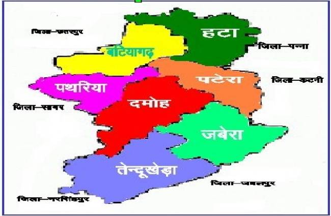 दमोह जिला