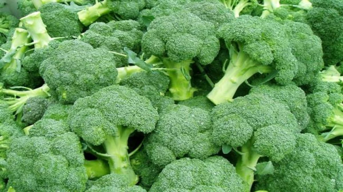 ब्रोकली खाने के लाजवाब फायदे जानकर आप भी रह जाएंगे दंग - health benefits of broccoli - AajTak