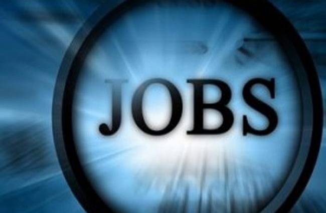 Govt Jobs