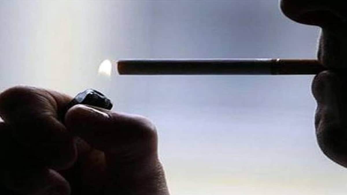 how many deaths from cigarettes FAU how many deaths from cigarettes FAU