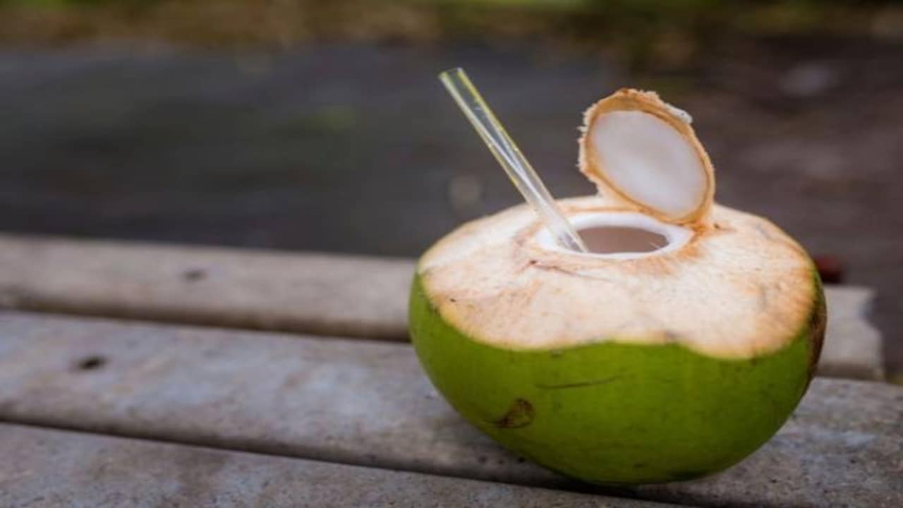 नारियल पानी पीने का सबसे अच्छा समय क्या है? जानें इसे पीने का सही समय
HEALTH NEWS Coconut Water Drinking Benefits In Hindi What is the best time to drink coconut water? Know the right time to drink it