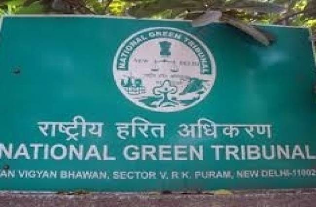 NGT ने पर्यावरण मंत्रालय को लताड़ा