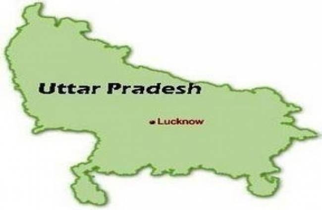 कौशांबी में हुई कुत्ते की शादी