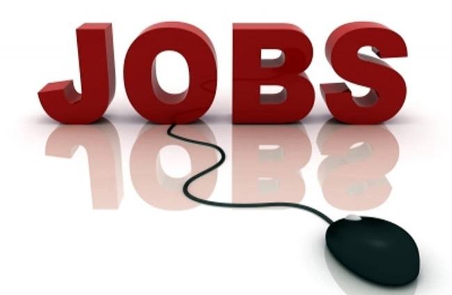 Govt Jobs